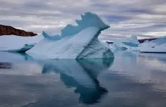 GRO0822_0966_Iceberg in Rodefjord (Eastern Greenland)