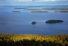 FIN0924_1139_FANTASTIC VIEW ON LAKE PIELINEN (KOLI, FINLAND)