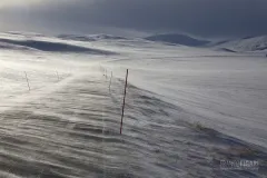 NOR0313_0265_Towards Cape North in winter (Norway)