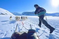 GRO0401_0310_Expedition with sled dogs (Greenland)