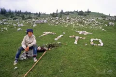 MON0789_0335_Young shepherd (Montenegro)