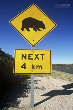 AUS0203_0698_Beware of the wombat (Australia)