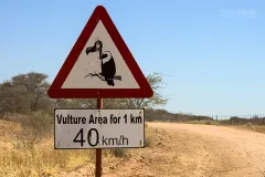 NAM0815_0684_Beware of the vulture (Namibia)