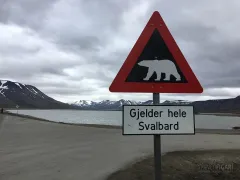 SVA0719_0705_Beware of the polar bear (Svalbard)