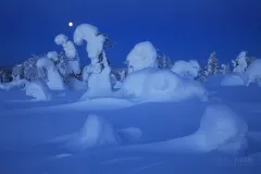 RII0219_0503_Full moon night on the arctic circle (Finland)